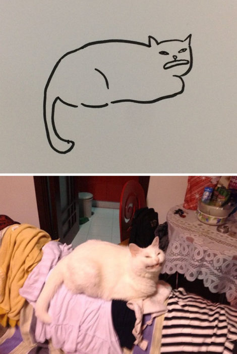 Dibujos realistas gato - renegando