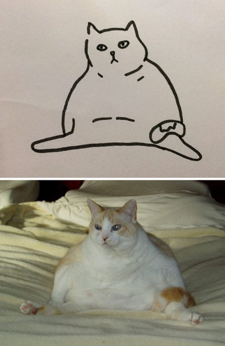 Dibujos realistas gato - sentado 