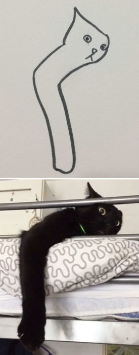 Dibujos realistas gato - en hamaca