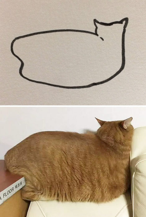 Dibujos realistas gato - de espaldas