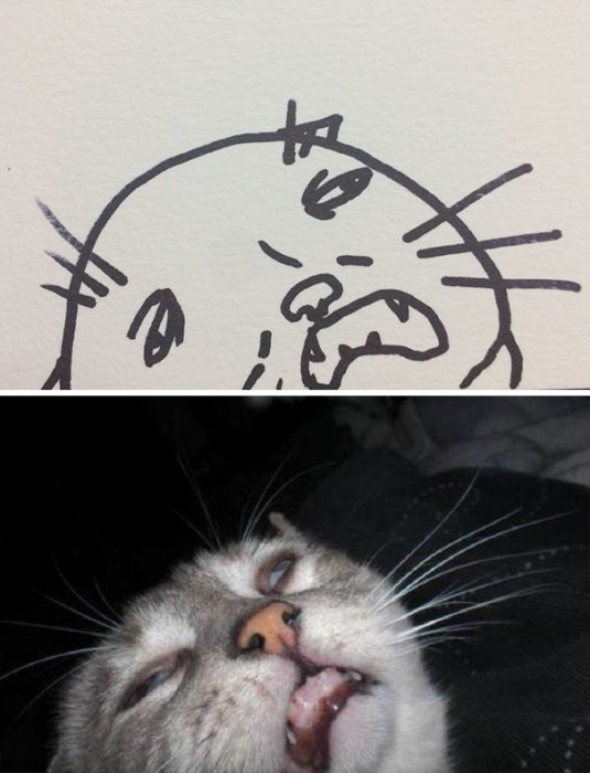 Dibujos realistas gato - parece drogado