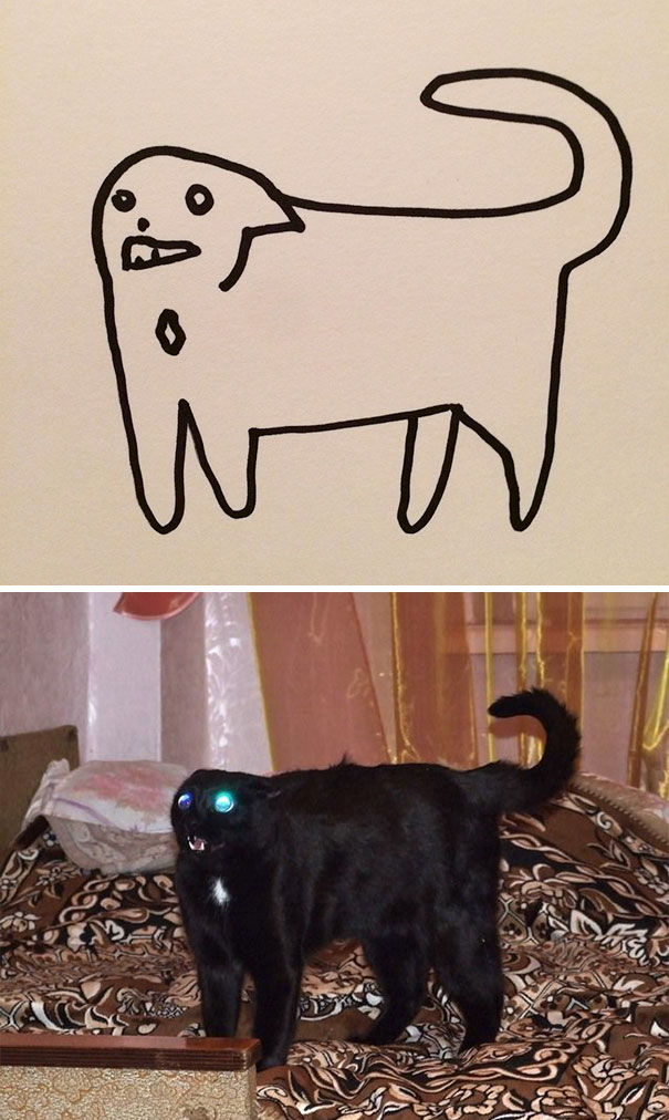 19 Dibujos que los que NO tienen gatos dirán que son malos