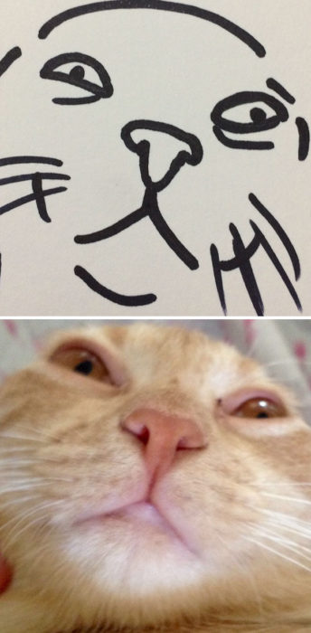 Dibujos realistas gato - selfie