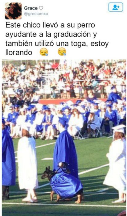 Graduación perro