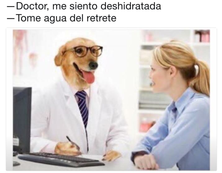 deshidratada memes doctor perro