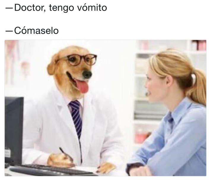 vómito cómaselo memes doctor perro