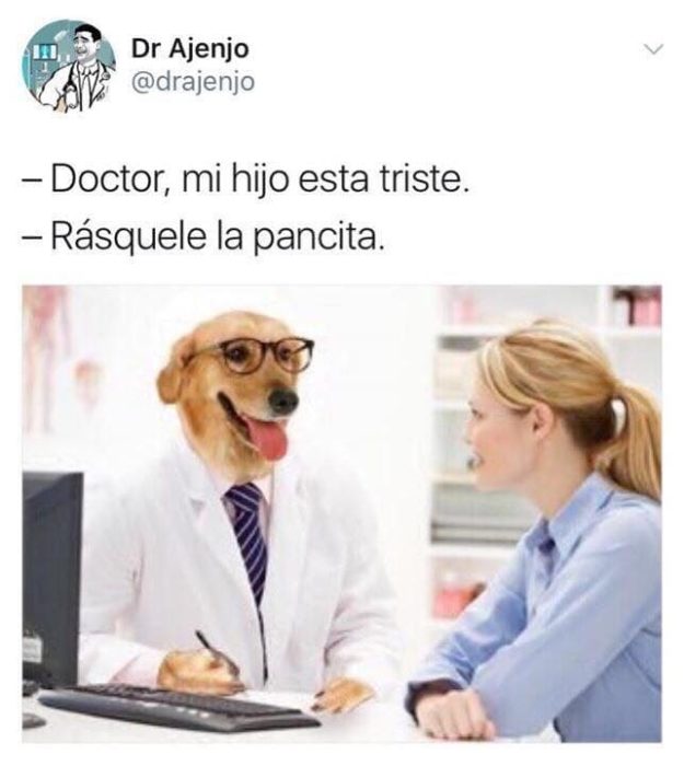 rásquele la pancita memes doctor perro