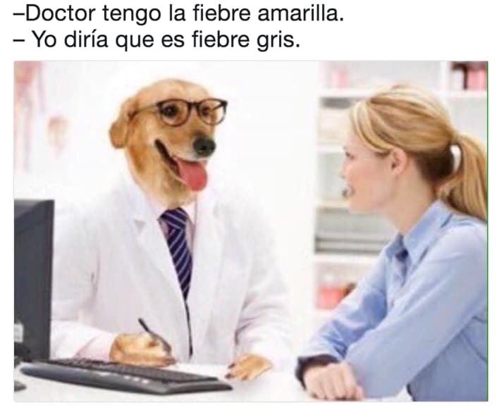 fiebre amarilla memes doctor perro