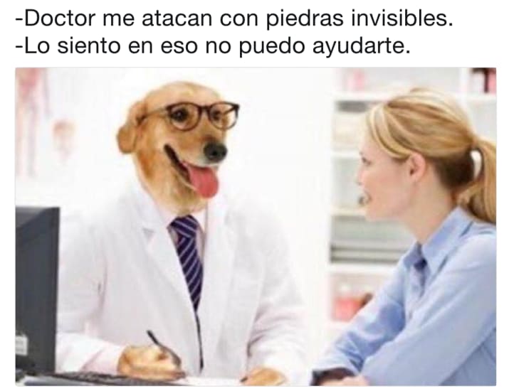 piedras invisibles memes doctor perro