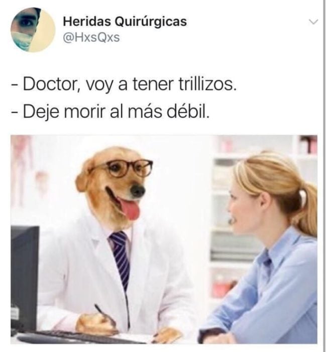 deja morir al más décil memes doctor perro