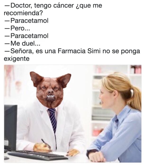 chulaquil paracetamol memes doctor perro