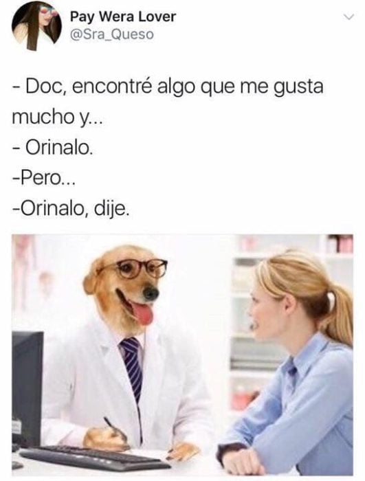 orinar memes doctor perro