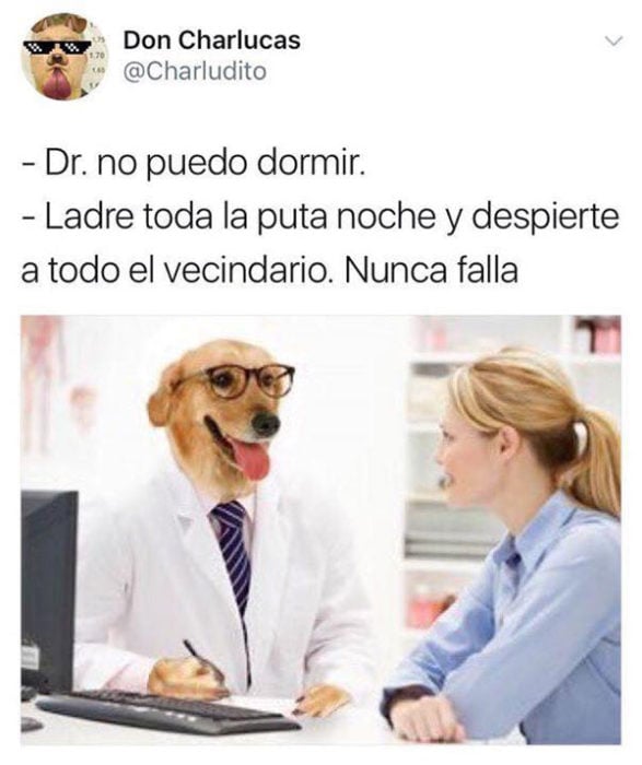 ladre toda la noche memes doctor perro