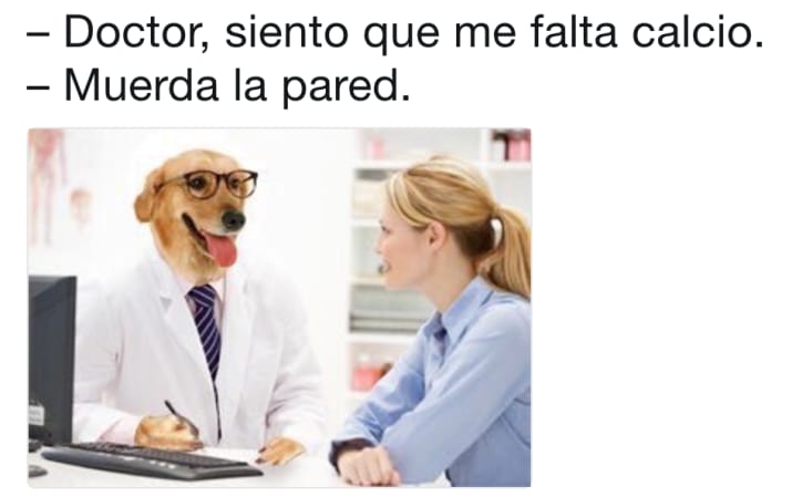 calcio memes doctor perro