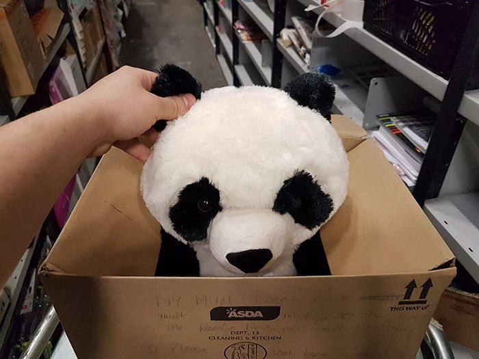 Persona deteniendo un oso panda de peluche en una caja 