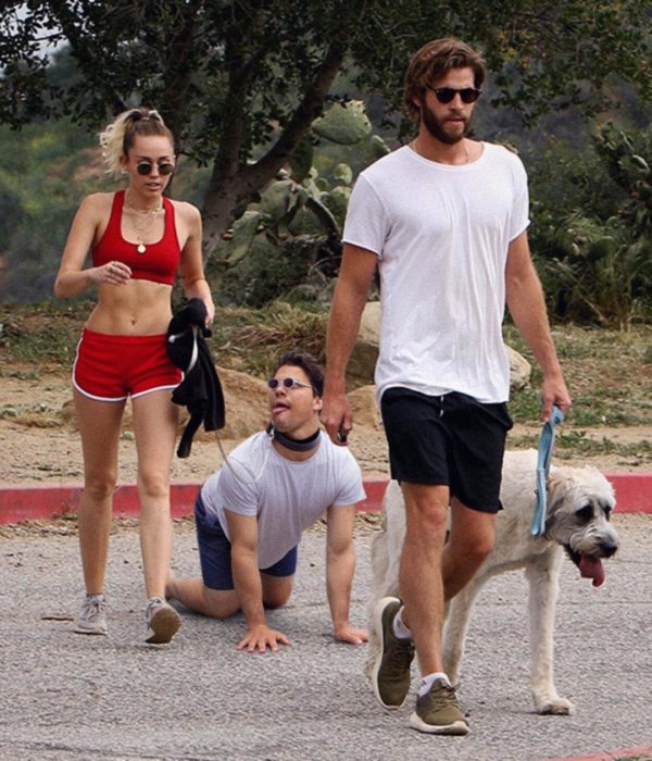 Miley paseo perros