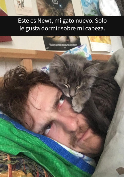 Gato dormido sobre su humano 