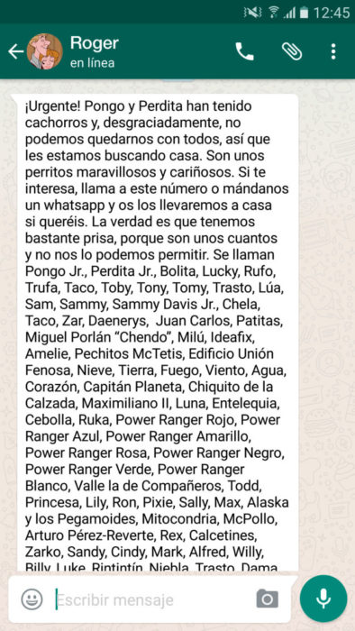 whatsapp 101 dálmatas