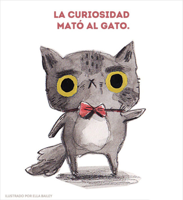 curiosidad gato ilustración dichos