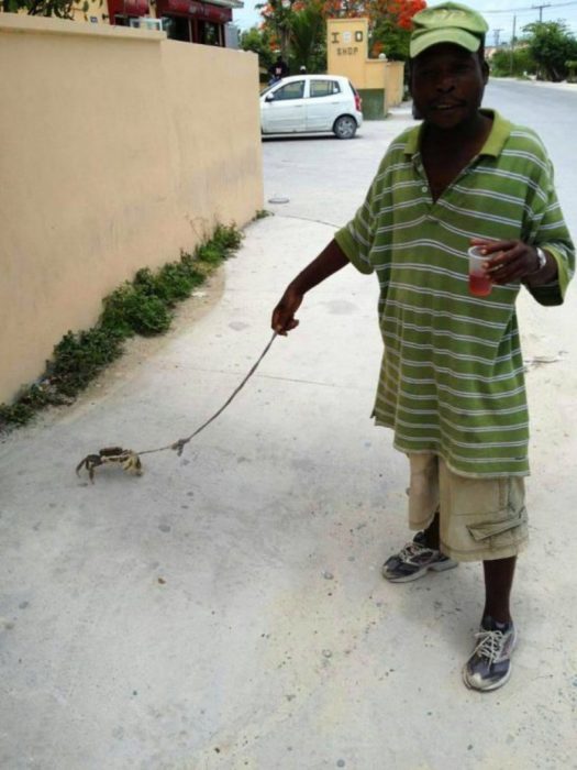 hombre paseando a cangrejo