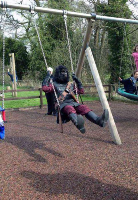 mono jugando en columpios de parque