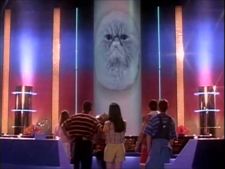 zordon gato power rangers