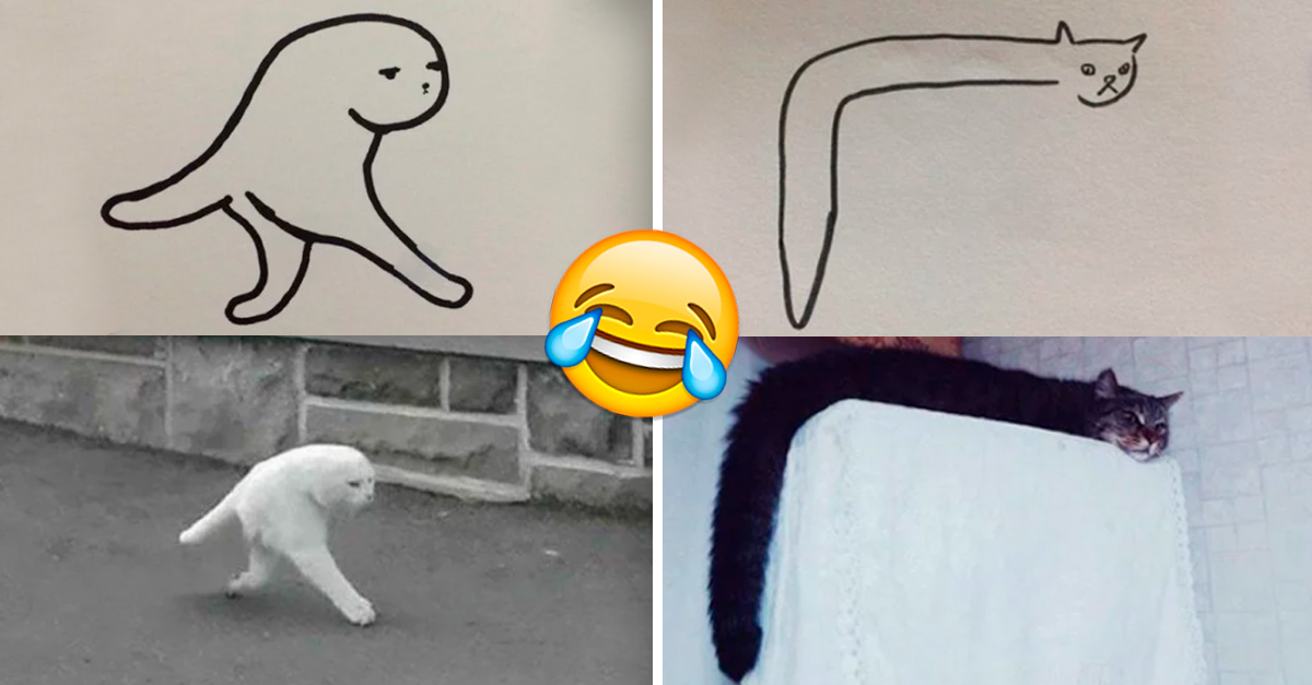19 Dibujos que los que NO tienen gatos dirán que son malos