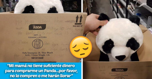 Cover Su mamá no le pudo comprar un panda de peluche y él dejó una conmovedora nota