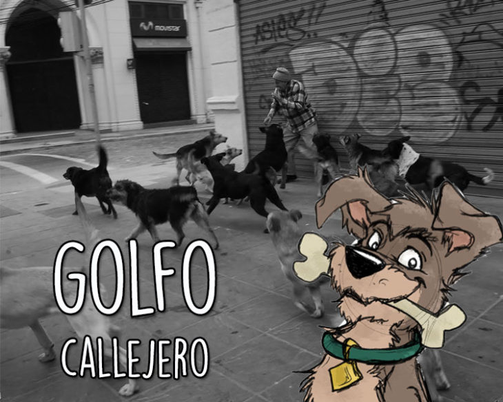 golfo callejero