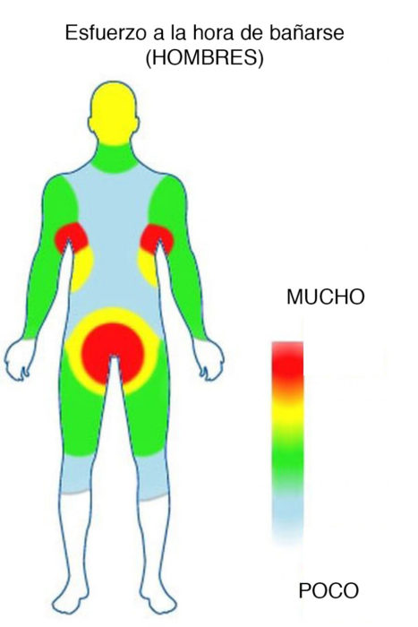 diagrama que muestra las áreas más aseadas de un hombre