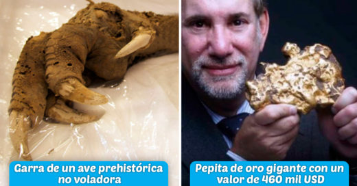 Cover Extraños objetos que no creerías que fueron encontrados bajo tierra