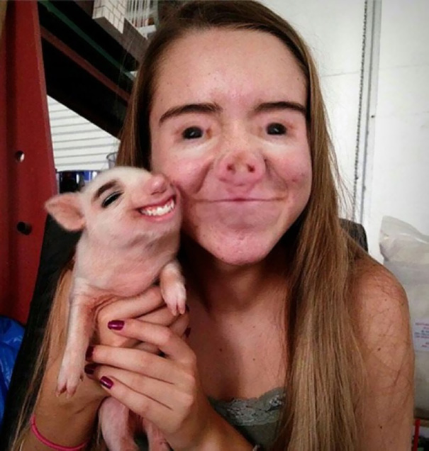 Face swap cerdo
