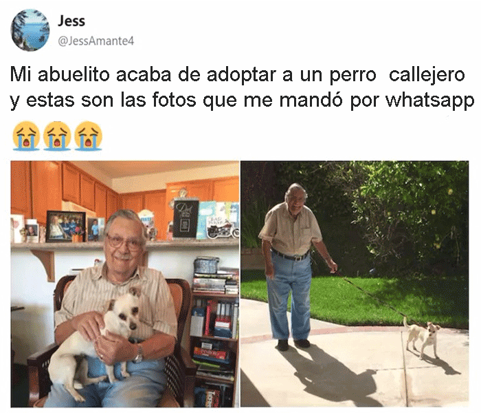 abuelito adoptó a un perro