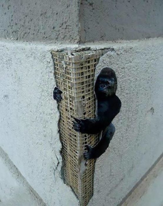 gorila king kong muro