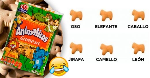 Cover datos salvajes que no conocías de las galletas de animalitos