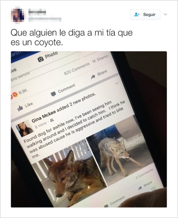 tía rescató a un coyote publicación facebook tuit 