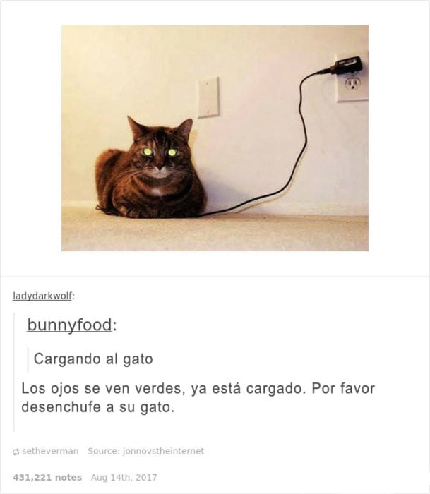 Gato cargado