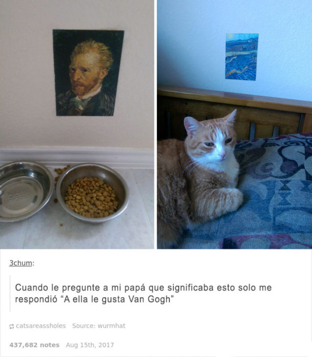 es una gata culta