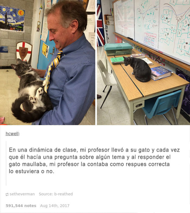 quiero un profesor asi