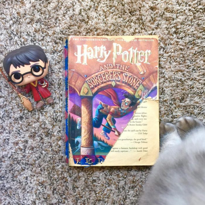 Libro Harry Potter portada rota