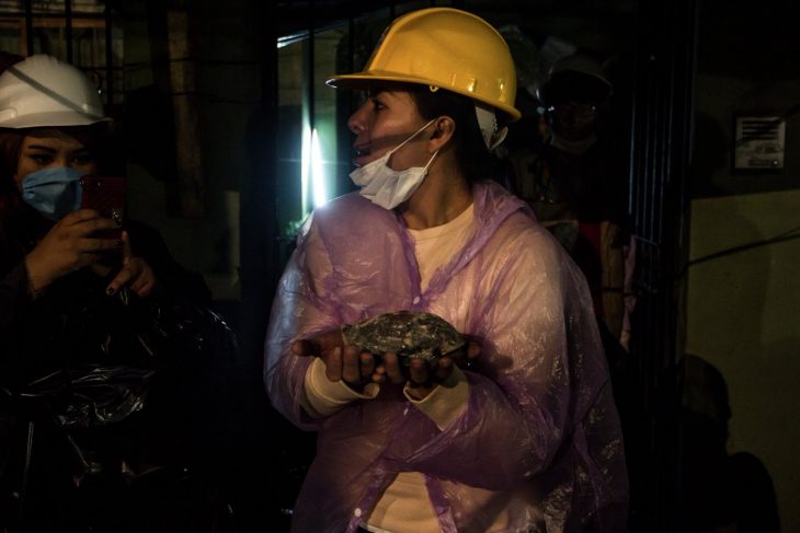 Terremoto México - rescatan tortuga