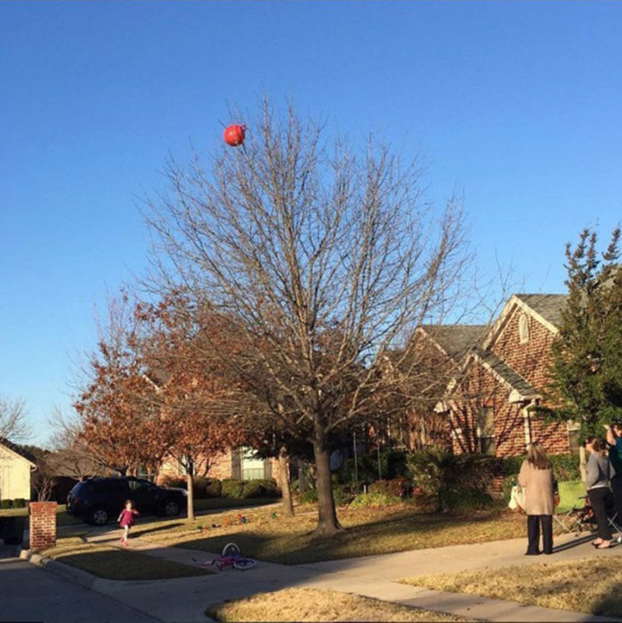 Pelota roja en el ábol