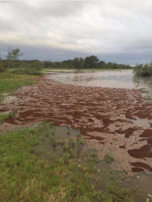 desastre huracán harvey