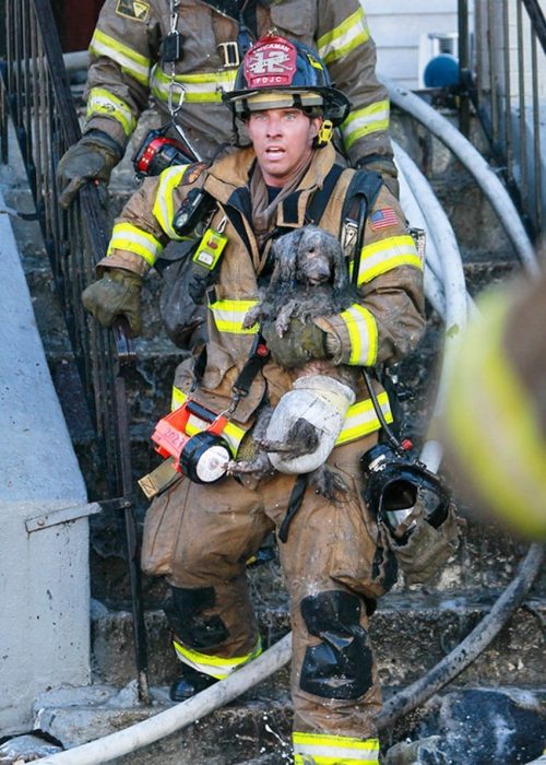 bombero rescatista