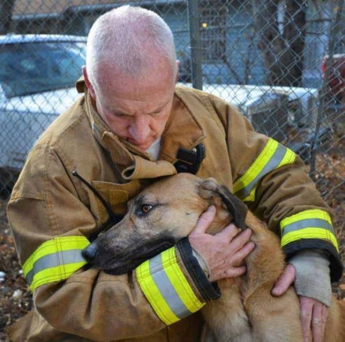 perro rescate bombero