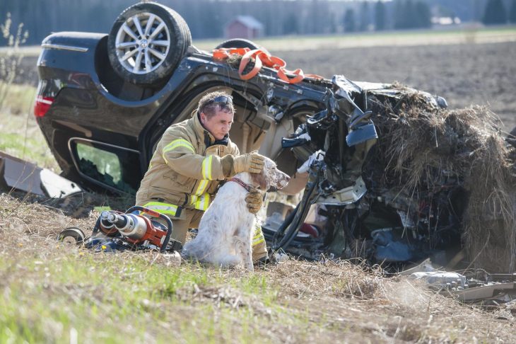 bombero salvando perrito