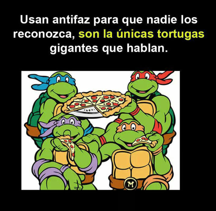 Tortugas con antifaz