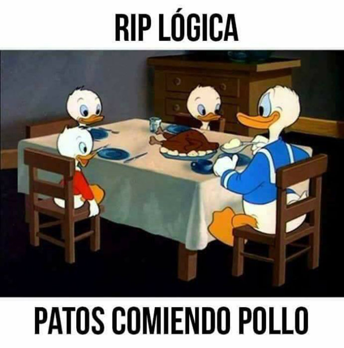 Patos comen pollo en navidad