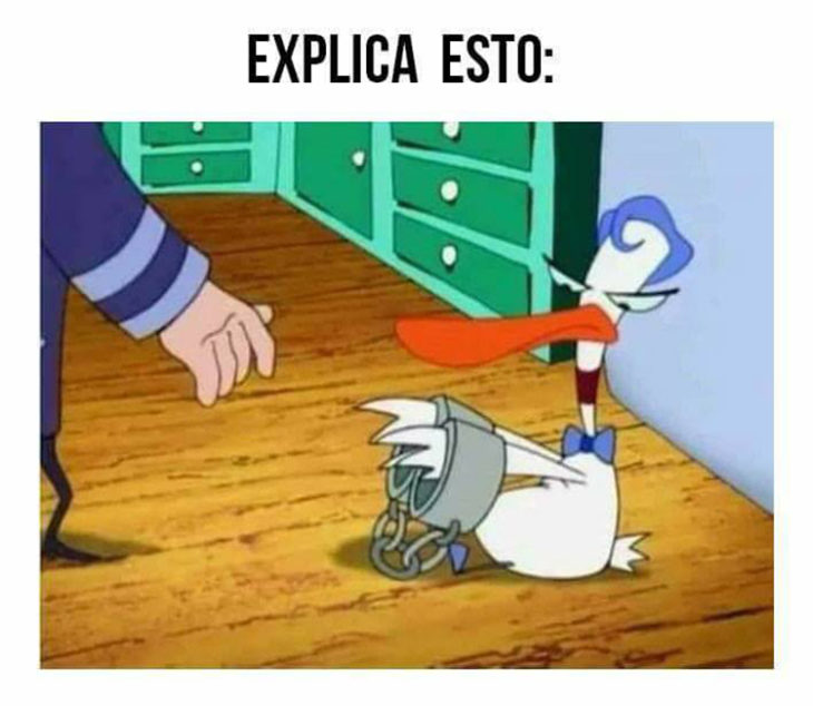 Pato con esposas