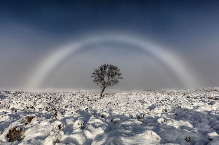 Arcoiris blanco